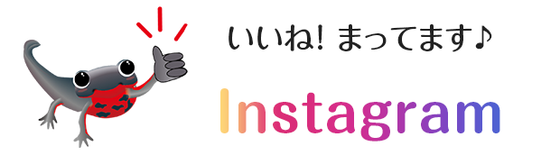いいね!まってます Instagram