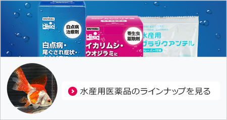 水産用医薬品のラインナップを見る