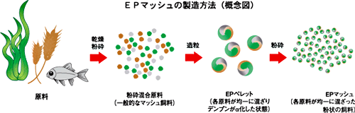 EPマッシュの製造方法（概念図）