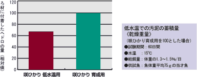 低水温下での汚泥の減少