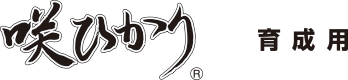咲ひかり育成用