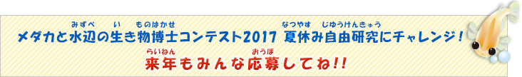 「Hikari メダカと水辺の生き物博士コンテスト2017 夏休み自由研究にチャレンジ!」来年もみんな応募してね!