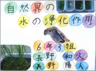 自然界の水の浄化作用