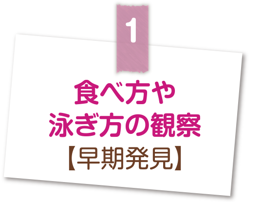 食べ方や泳ぎ方の観察【早期発見】