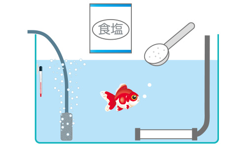 塩水浴