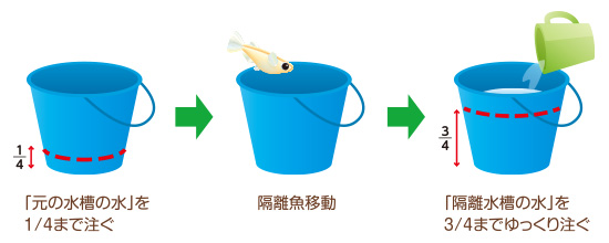 バケツで水合わせ