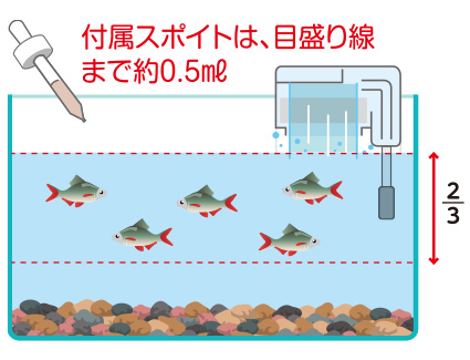 バケツで水合わせ
