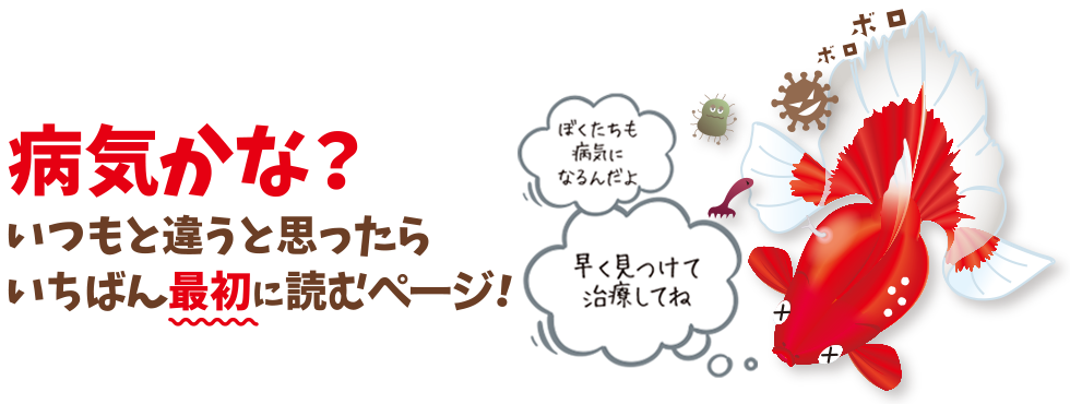 病気かな?いつもと違うと思ったらいちばん最初に読むページ!