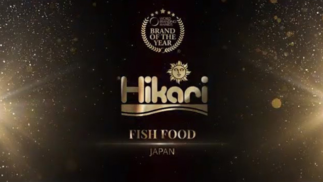 Hikari - 2023-2024 World Branding Awards - Animalis Edition - HOFBURG Palace