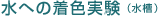 水への着色実験(水槽)