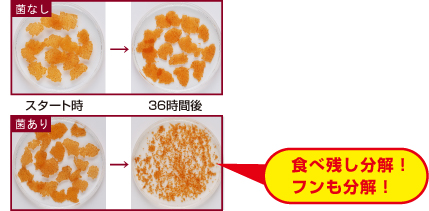 新世代フレーク 熱帯魚のエサ ネオプロス 金魚のエサ ゴールドプロス ココが違う1 水汚れをおさえる キョーリン 新世代フレーク 熱帯魚のエサ ネオプロス 金魚のエサ ゴールドプロス ココが違う1 水汚れをおさえる キョーリン
