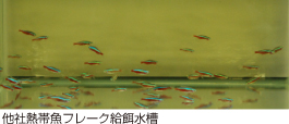 他社熱帯魚フレーク給餌水槽
