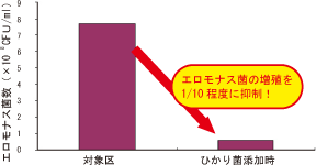 エロモナス菌の増殖を1/10程度に抑制!