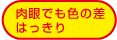 肉眼でも色の差はっきり