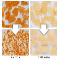 ゴールドプロス GB菌による分解図
