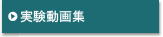 実験動画集