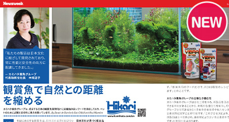 ホーム<錦鯉,金魚,熱帯魚,メダカ,小動物,鳥,爬虫類,両生類,飼い ホーム<錦鯉,金魚,熱帯魚,メダカ,小動物,鳥,爬虫類,両生類,飼い