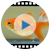食べ残し分解や着色実験動画 実験動画集