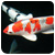 塩水浴について