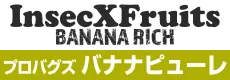 バナナピューレ