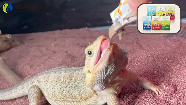 【プロバグズ デュビアピューレ】プロモーション動画