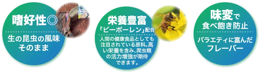「生」の昆虫をそのまま使用。