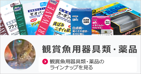 商品情報<錦鯉,金魚,熱帯魚,メダカ,小動物,鳥,爬虫類,両生類 商品情報<錦鯉,金魚,熱帯魚,メダカ,小動物,鳥,爬虫類,両生類