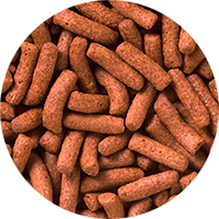 ひかりクレストカーニバル