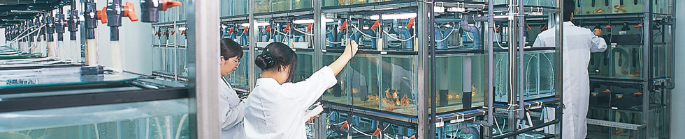 研究開発