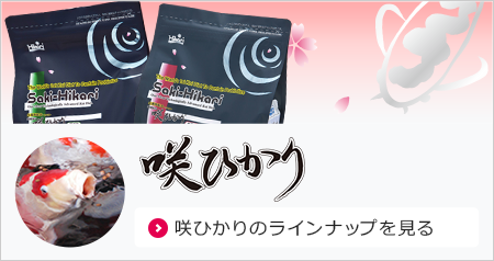 咲ひかりのラインナップを見る