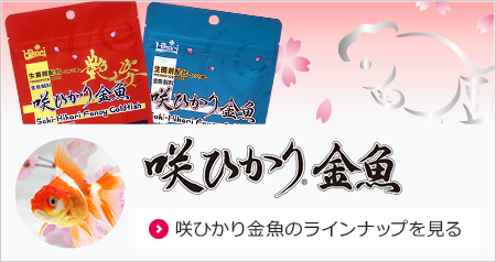 咲ひかり金魚のラインナップを見る