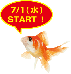 7/1（水）START！