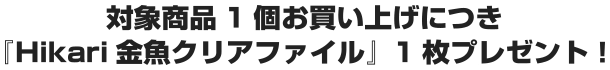対象商品1個お買い上げにつき『Hikari金魚クリアファイル』1枚プレゼント！