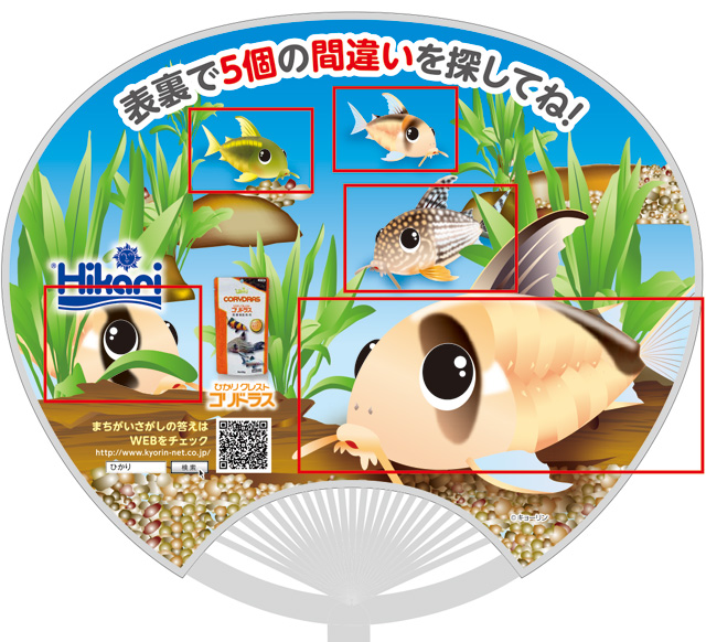 うちわ間違い探し コリドラス