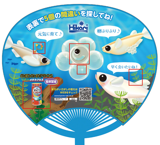 うちわ間違い探し メダカ卵