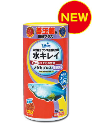 メダカプロス産卵繁殖