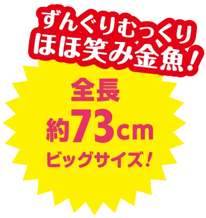 ずんぐりむっくりほほ笑み金魚！全長約73cmビッグサイズ！