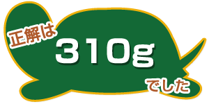 正解は310gでした