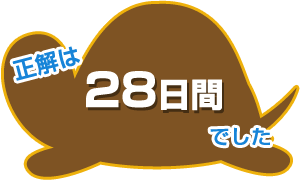 正解は45日間でした