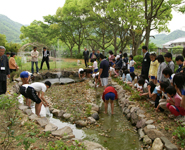 ビオトープに放流する峰相小学校の5年生のみなさん