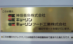 神畑養魚、キョーリン、キョーリンフード