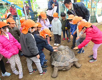 アルダブラゾウガメと子供達