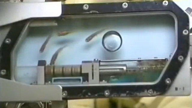 キョーリン宇宙への挑戦