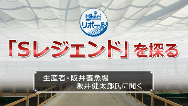 Hikariリポート「Sレジェンドを探る」PART2