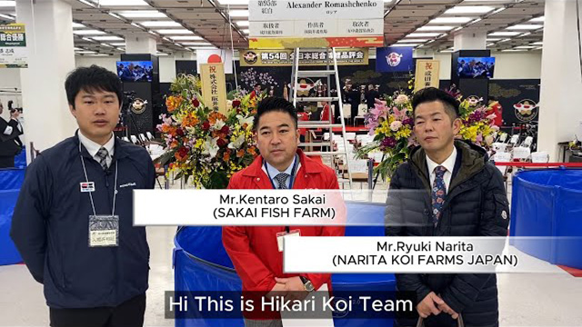 第54回 全日本錦鯉品評会 インタビュー|トピックス|キョーリン 第54回 全日本錦鯉品評会 インタビュー|トピックス|キョーリン