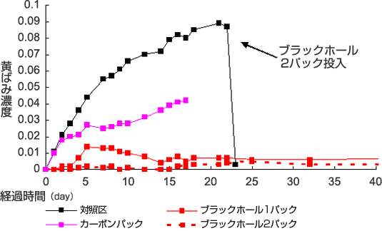 ブラックホール<観賞魚,鑑賞魚,熱帯魚,金魚,メダカ,アクアリウム,水草