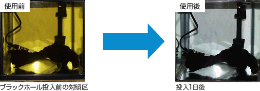 照区にブラックホールを投入した時の写真
