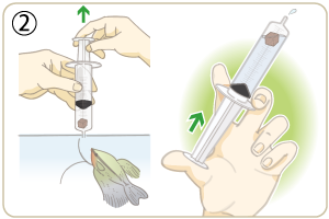 水を吸って、空気を抜きます。