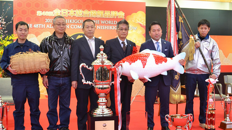 全日本総合錦鯉品評会優勝