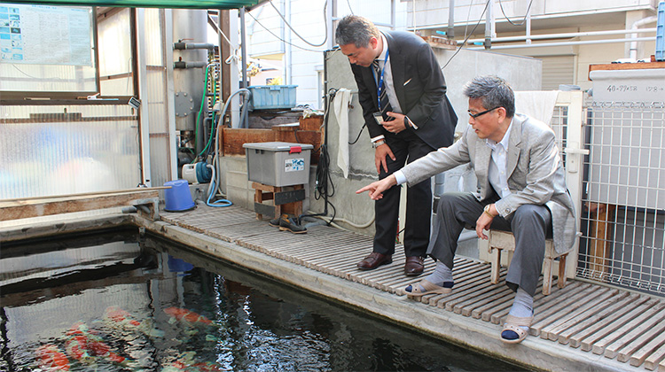 白坂氏